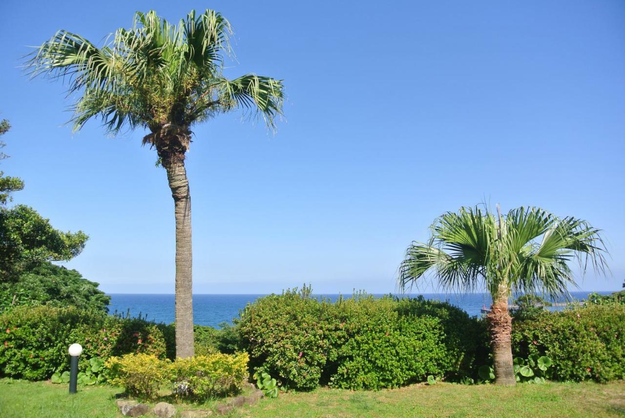 Yakushima Green Hotel Εξωτερικό φωτογραφία